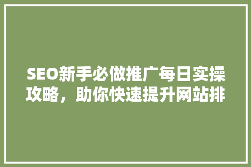 SEO新手必做推广每日实操攻略，助你快速提升网站排名  第1张