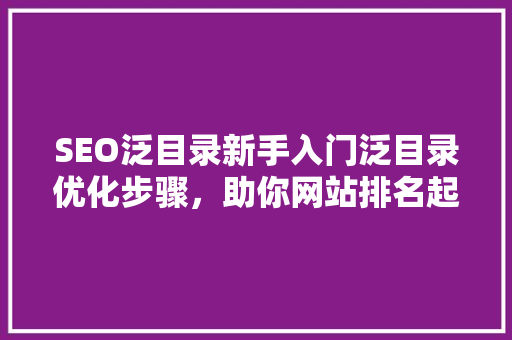 SEO泛目录新手入门泛目录优化步骤，助你网站排名起飞