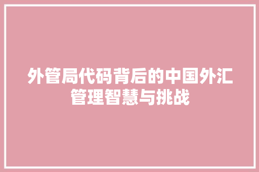 外管局代码背后的中国外汇管理智慧与挑战