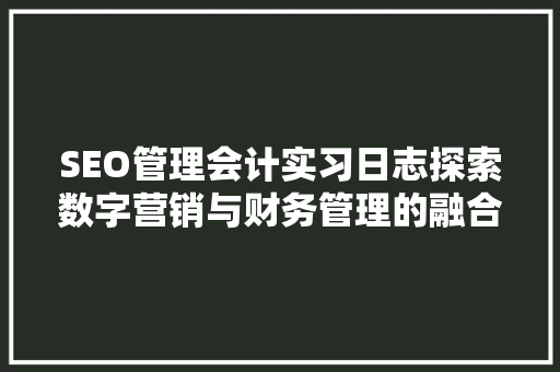 SEO管理会计实习日志探索数字营销与财务管理的融合之路