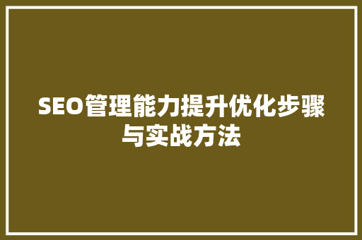 SEO管理能力提升优化步骤与实战方法