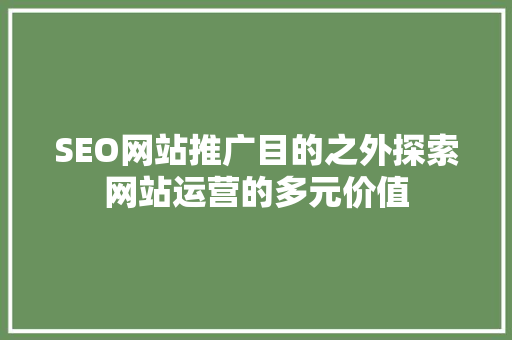 SEO网站推广目的之外探索网站运营的多元价值