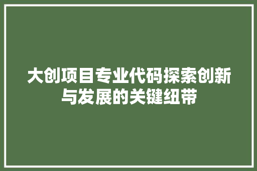 大创项目专业代码探索创新与发展的关键纽带