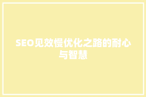 SEO见效慢优化之路的耐心与智慧