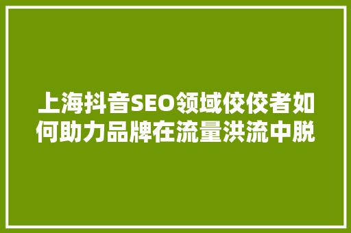 上海抖音SEO领域佼佼者如何助力品牌在流量洪流中脱颖而出