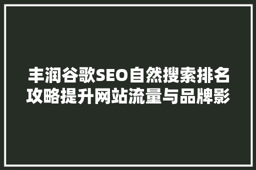 丰润谷歌SEO自然搜索排名攻略提升网站流量与品牌影响力的方法