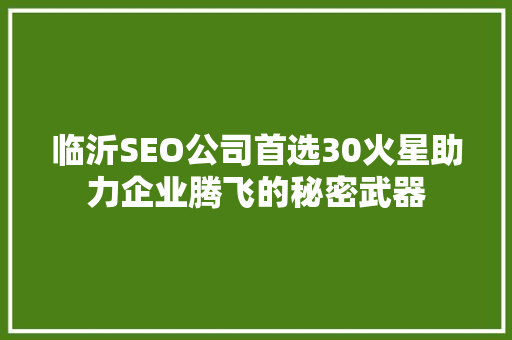 临沂SEO公司首选30火星助力企业腾飞的秘密武器