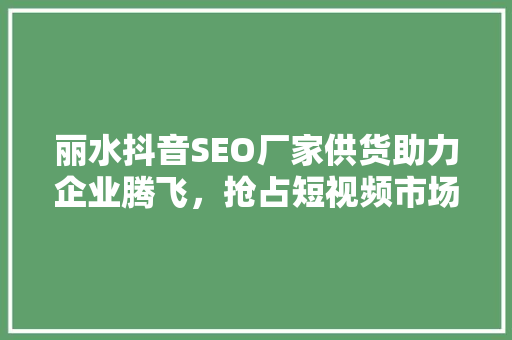 丽水抖音SEO厂家供货助力企业腾飞，抢占短视频市场先机