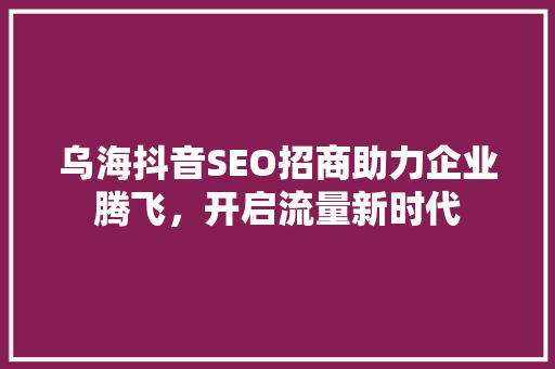 乌海抖音SEO招商助力企业腾飞，开启流量新时代