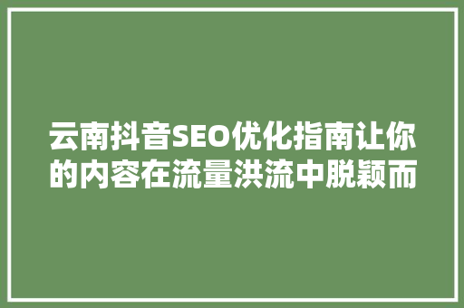 云南抖音SEO优化指南让你的内容在流量洪流中脱颖而出