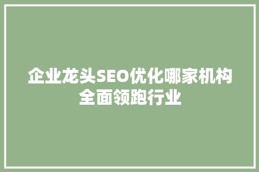 企业龙头SEO优化哪家机构全面领跑行业