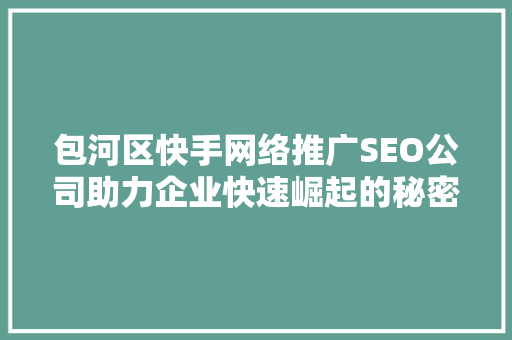 包河区快手网络推广SEO公司助力企业快速崛起的秘密武器