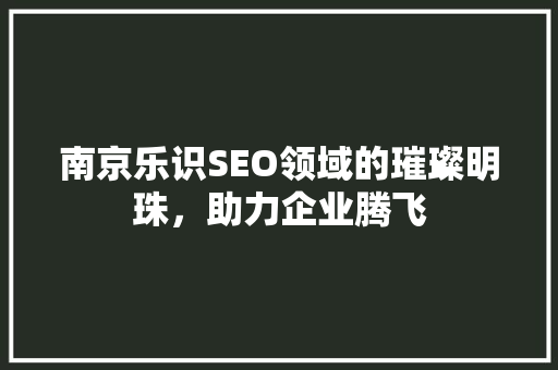 南京乐识SEO领域的璀璨明珠，助力企业腾飞