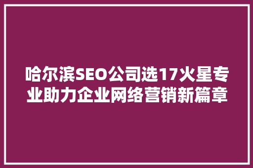 哈尔滨SEO公司选17火星专业助力企业网络营销新篇章