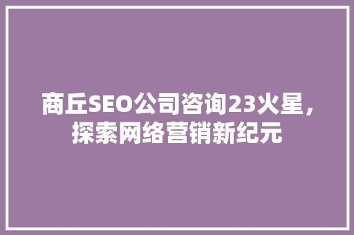商丘SEO公司咨询23火星，探索网络营销新纪元