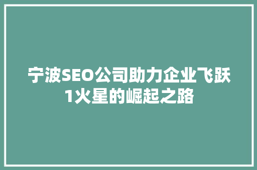 宁波SEO公司助力企业飞跃1火星的崛起之路