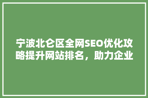 宁波北仑区全网SEO优化攻略提升网站排名，助力企业腾飞