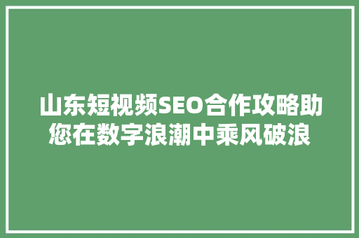 山东短视频SEO合作攻略助您在数字浪潮中乘风破浪