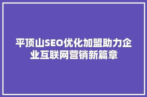 平顶山SEO优化加盟助力企业互联网营销新篇章