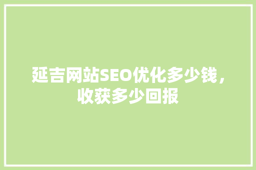 延吉网站SEO优化多少钱，收获多少回报