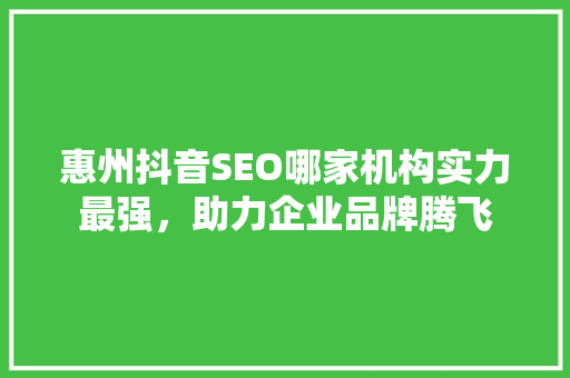 惠州抖音SEO哪家机构实力最强，助力企业品牌腾飞