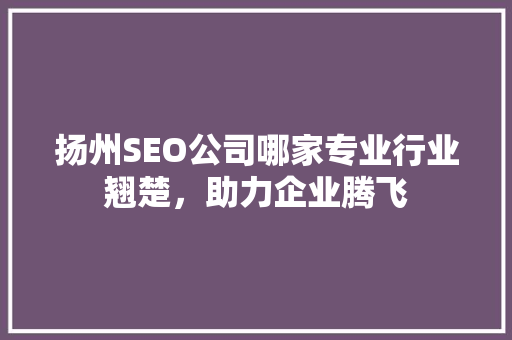扬州SEO公司哪家专业行业翘楚，助力企业腾飞