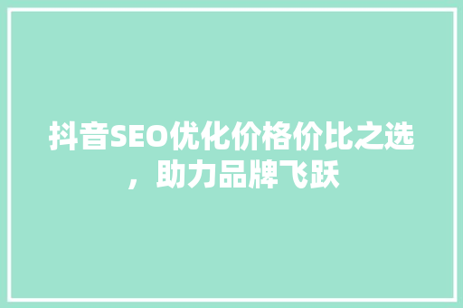 抖音SEO优化价格价比之选，助力品牌飞跃
