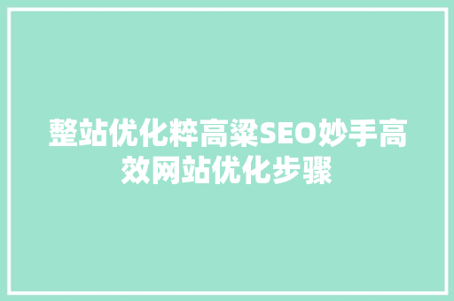 整站优化粹高粱SEO妙手高效网站优化步骤