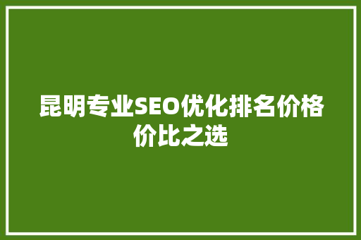 昆明专业SEO优化排名价格价比之选