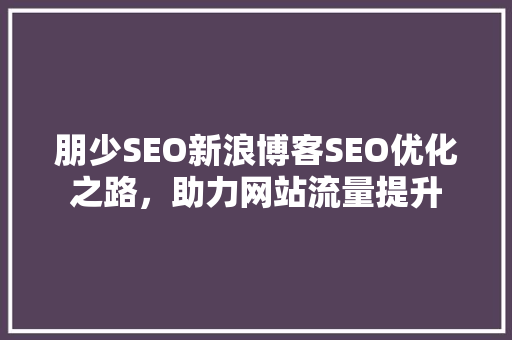 朋少SEO新浪博客SEO优化之路，助力网站流量提升