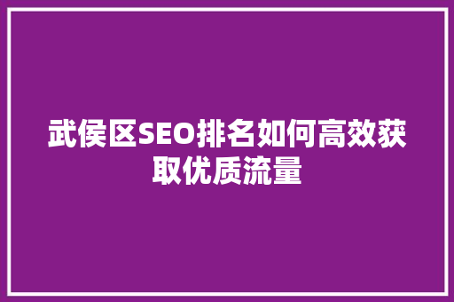 武侯区SEO排名如何高效获取优质流量
