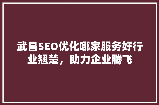 武昌SEO优化哪家服务好行业翘楚，助力企业腾飞