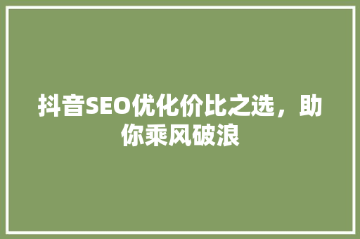 抖音SEO优化价比之选，助你乘风破浪