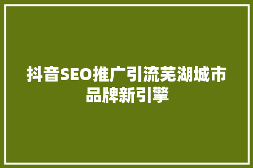抖音SEO推广引流芜湖城市品牌新引擎