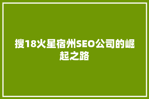 搜18火星宿州SEO公司的崛起之路