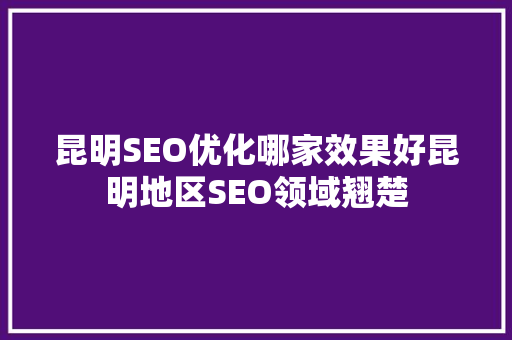 昆明SEO优化哪家效果好昆明地区SEO领域翘楚