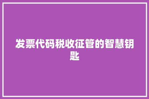 发票代码税收征管的智慧钥匙