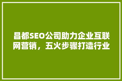 昌都SEO公司助力企业互联网营销，五火步骤打造行业新标杆