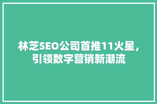 林芝SEO公司首推11火星，引领数字营销新潮流