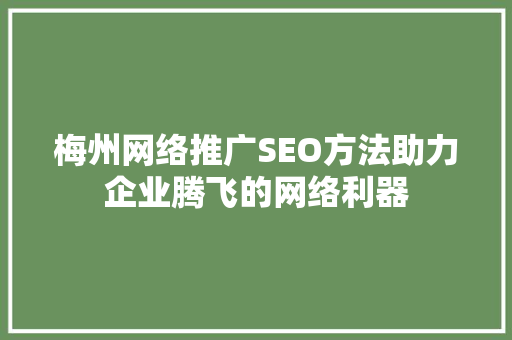 梅州网络推广SEO方法助力企业腾飞的网络利器