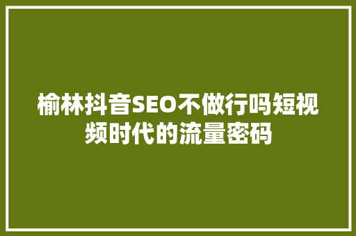 榆林抖音SEO不做行吗短视频时代的流量密码