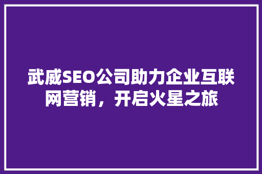 武威SEO公司助力企业互联网营销，开启火星之旅
