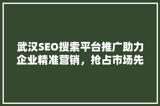 武汉SEO搜索平台推广助力企业精准营销，抢占市场先机