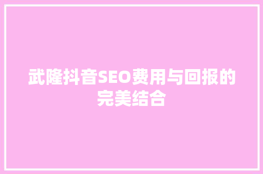 武隆抖音SEO费用与回报的完美结合