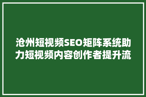 沧州短视频SEO矩阵系统助力短视频内容创作者提升流量与影响力