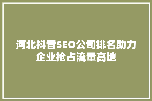 河北抖音SEO公司排名助力企业抢占流量高地