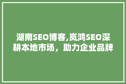 湖南SEO博客,岚鸿SEO深耕本地市场，助力企业品牌崛起