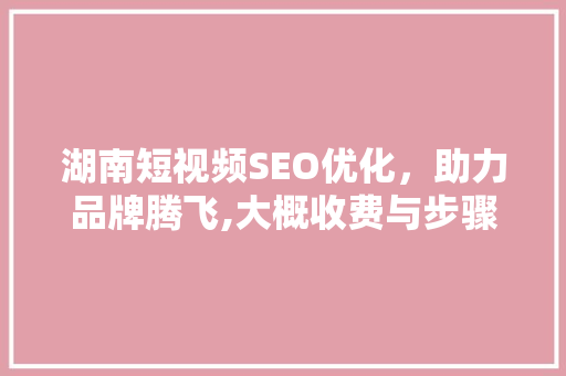 湖南短视频SEO优化，助力品牌腾飞,大概收费与步骤