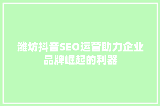 潍坊抖音SEO运营助力企业品牌崛起的利器