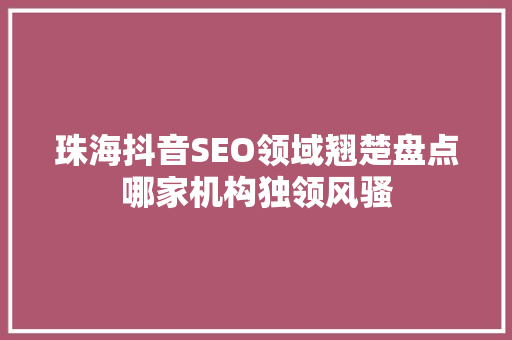 珠海抖音SEO领域翘楚盘点哪家机构独领风骚